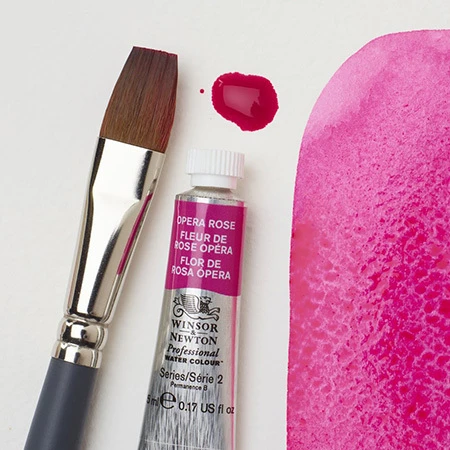 Winsor & Newton