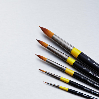 DALER-ROWNEY System3 - Etui zippé de 10 pinceaux synthétiques