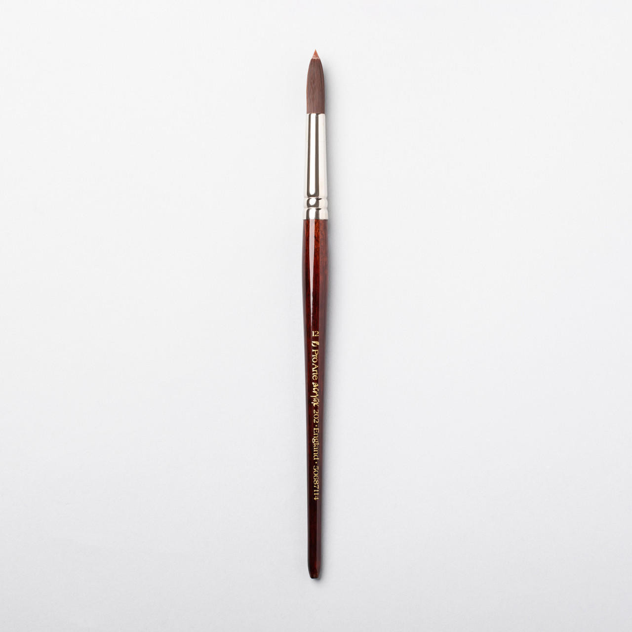 Pro Arte Acrylix Painting Brush Round Series 202 12 from Pro Arte