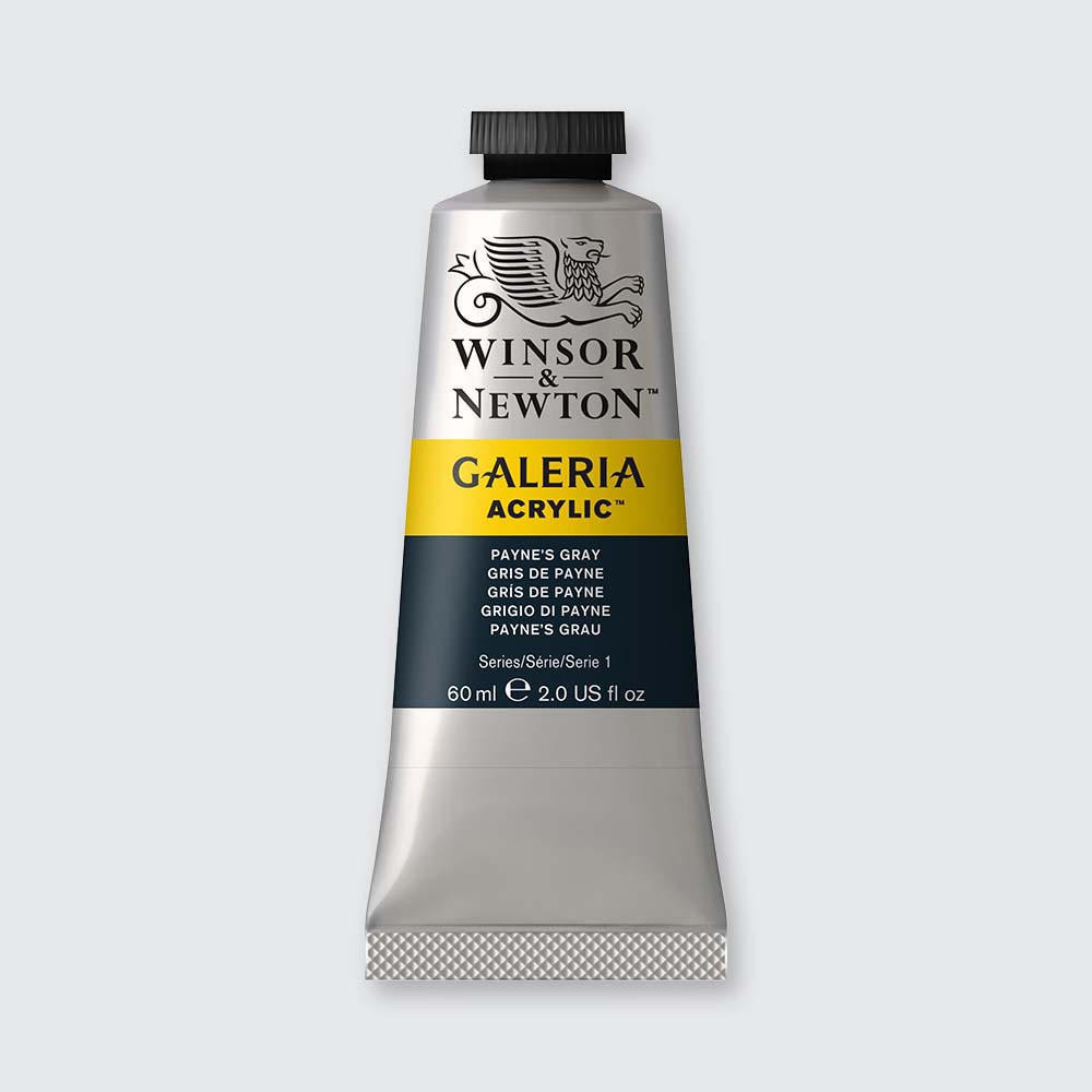 Winsor & Newton Galeria Acrylic Tube 60ml Payne’s Grey