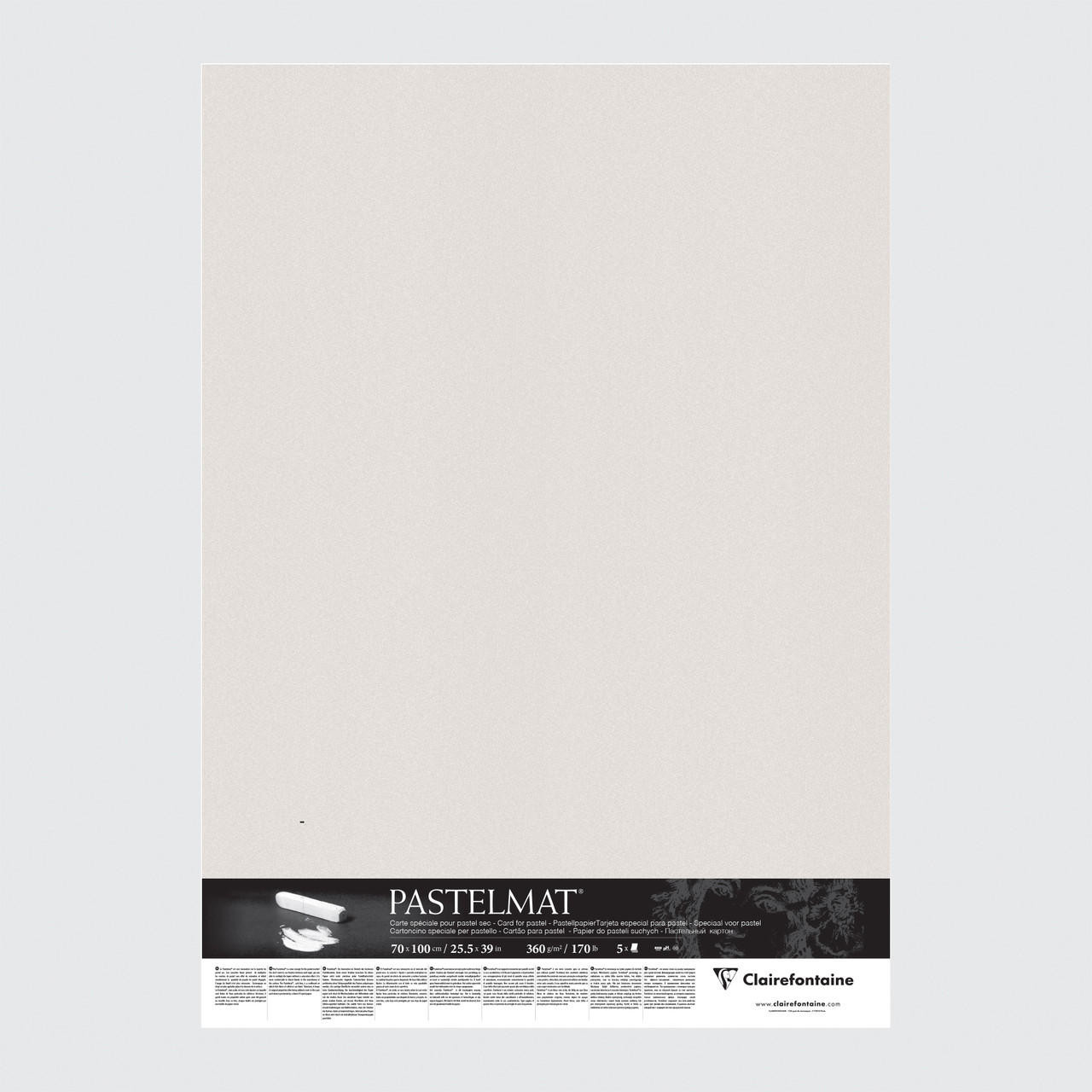 Clairefontaine Pastelmat 360gsm 50 x 70cm Light Grey Pack of 5