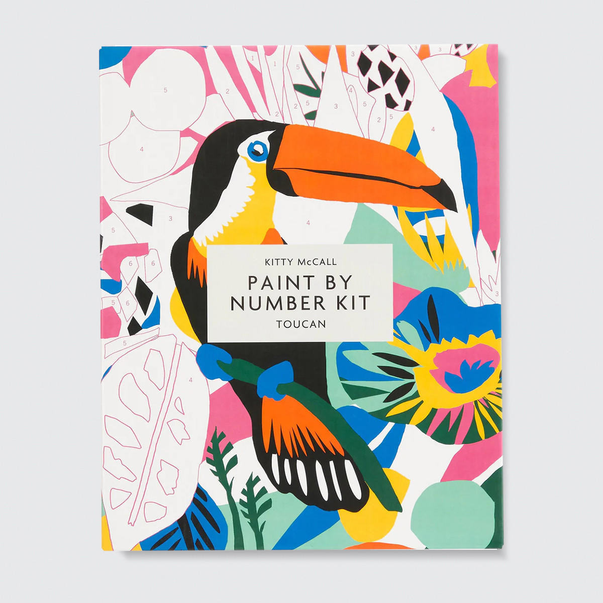 Galison Toucan Paint By Number Kit by Kitty McCall