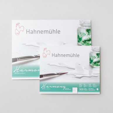 Blocco Acquerello Hahnemuhle Harmony Hot Press A4 - 12 Fogli 300 G/m² Per Artisti E Appassionati - Foto 13