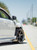 F2 Function & Form Mitsubishi Evo X 07-16 Type 2 Coilovers Kit F2-EVOX07T2