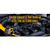 BG Products 44K Platinum Fuel System Cleaner 11 oz. Can | Free BG PlatinumFunnel