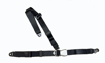 3-point Fixed Strap Restraint Assembly