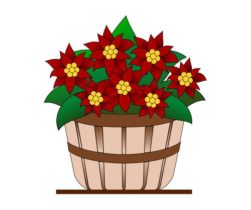 Basket of Poinsetttia's