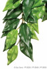 Exo Terra Exo Terra Hanging Ficus Medium 17