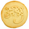 All Things Reptile Cookie Stamp Gecko