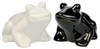 All Things Reptile Salt and Pepper Shakers Frogs, Set of 2