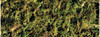 Exo Terra Exo Terra Forest Moss, 2-PACK