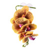 Pangea PANGEA HANGING ORCHIDS - YELLOW