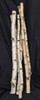 All Things Reptile Birch Tree Branches per piece Approx 24 1.5-3 Dia