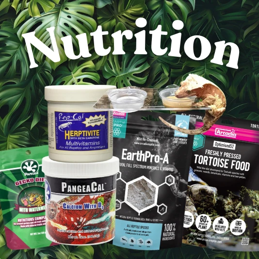 Nutrition Page 1 Photo Inspiration