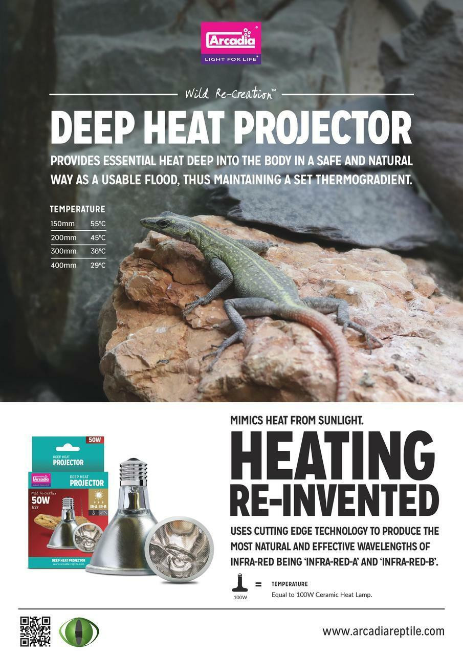 deep heat projector arcadia