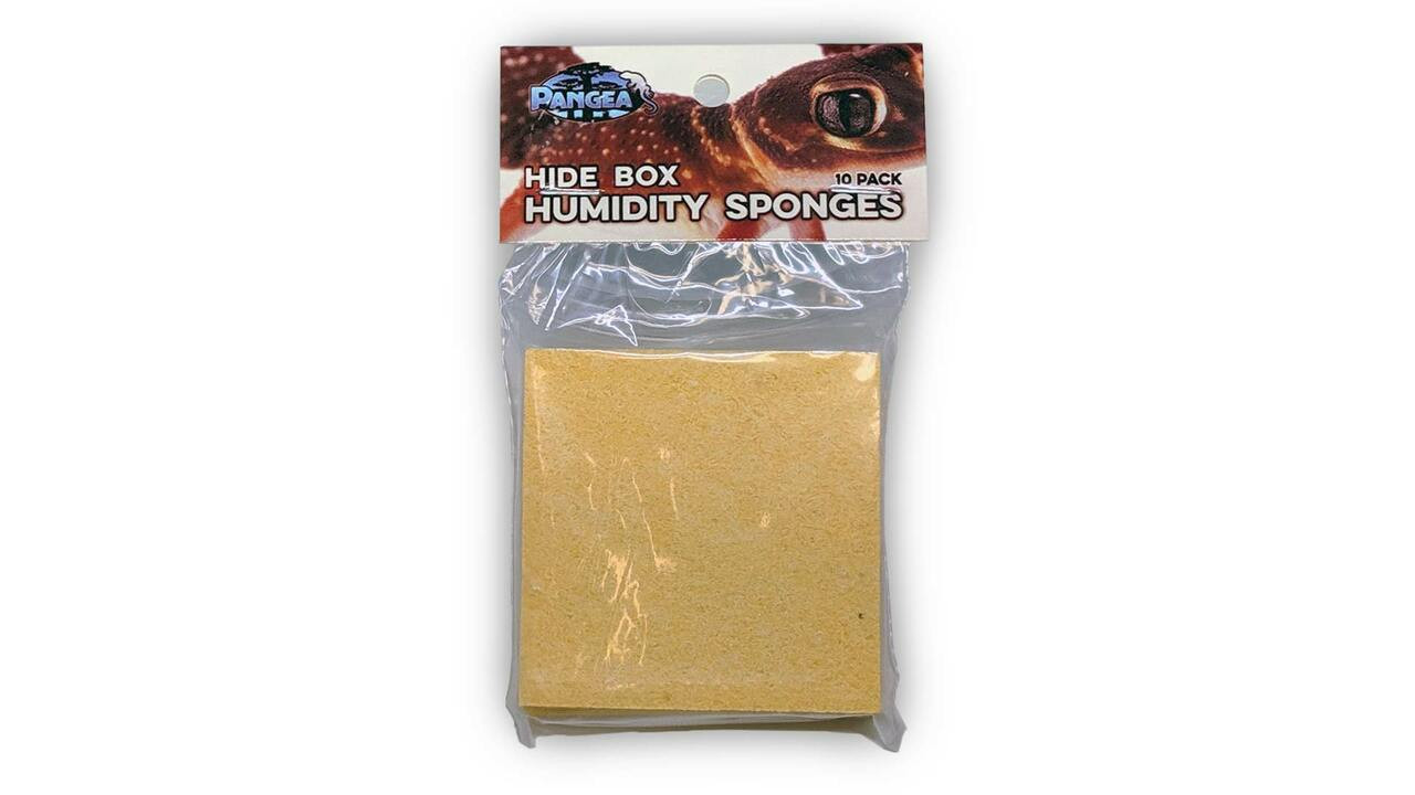 Pangea Hide Box Humidity Sponges (10 Pack) ReptilesRuS