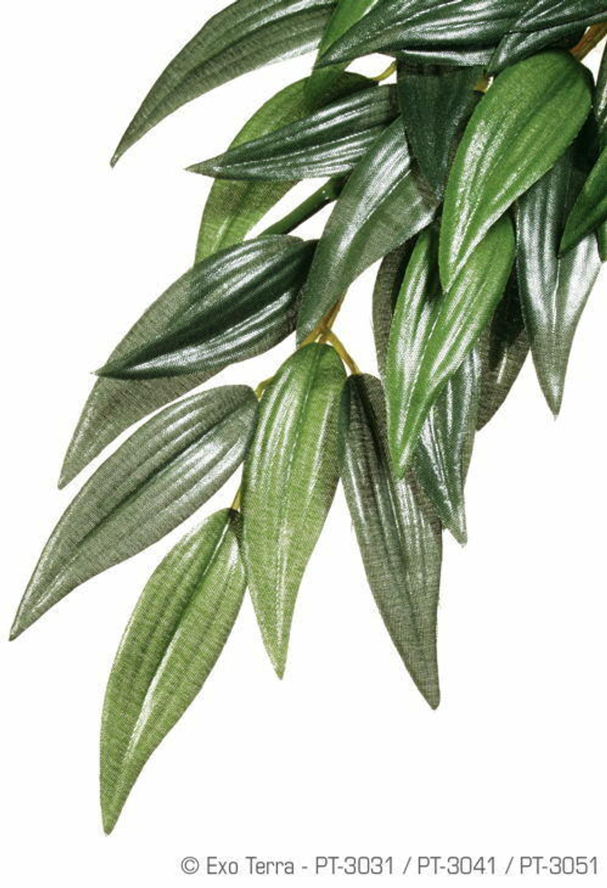 Exo Terra Exo Terra Hanging Ruscus Plant Medium 17 Long