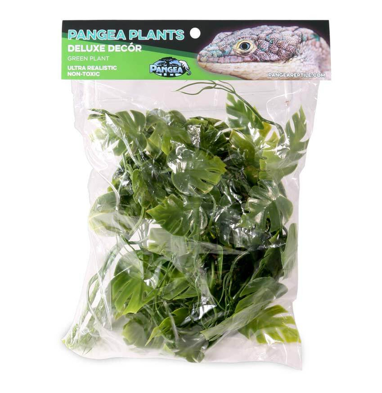 Pangea PANGEA PLANTS - GREEN