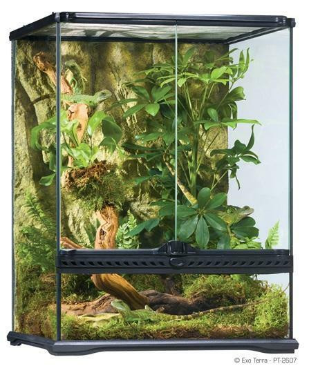 exo terra 36 x 18 x 18 glass terrarium