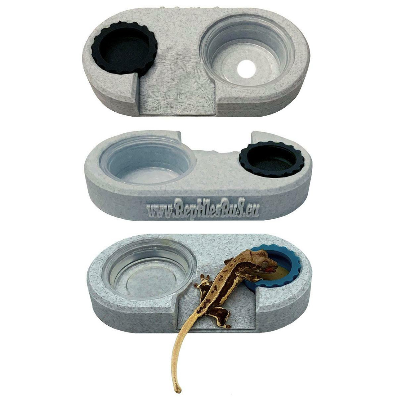 ReptilesRuS Dual Feeding Cup Holder Ramped Charitable Donation