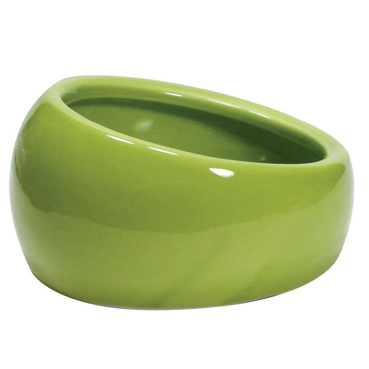 Exo Terra Worm Dish 4oz Green Ceramic