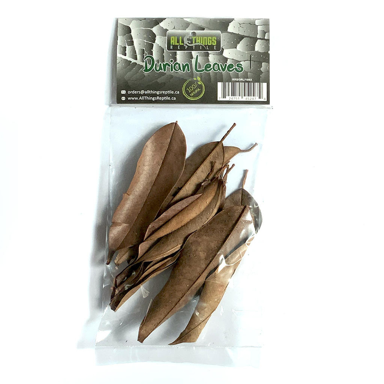 All Things Reptile Durian Mix Size Leaves 10-pack