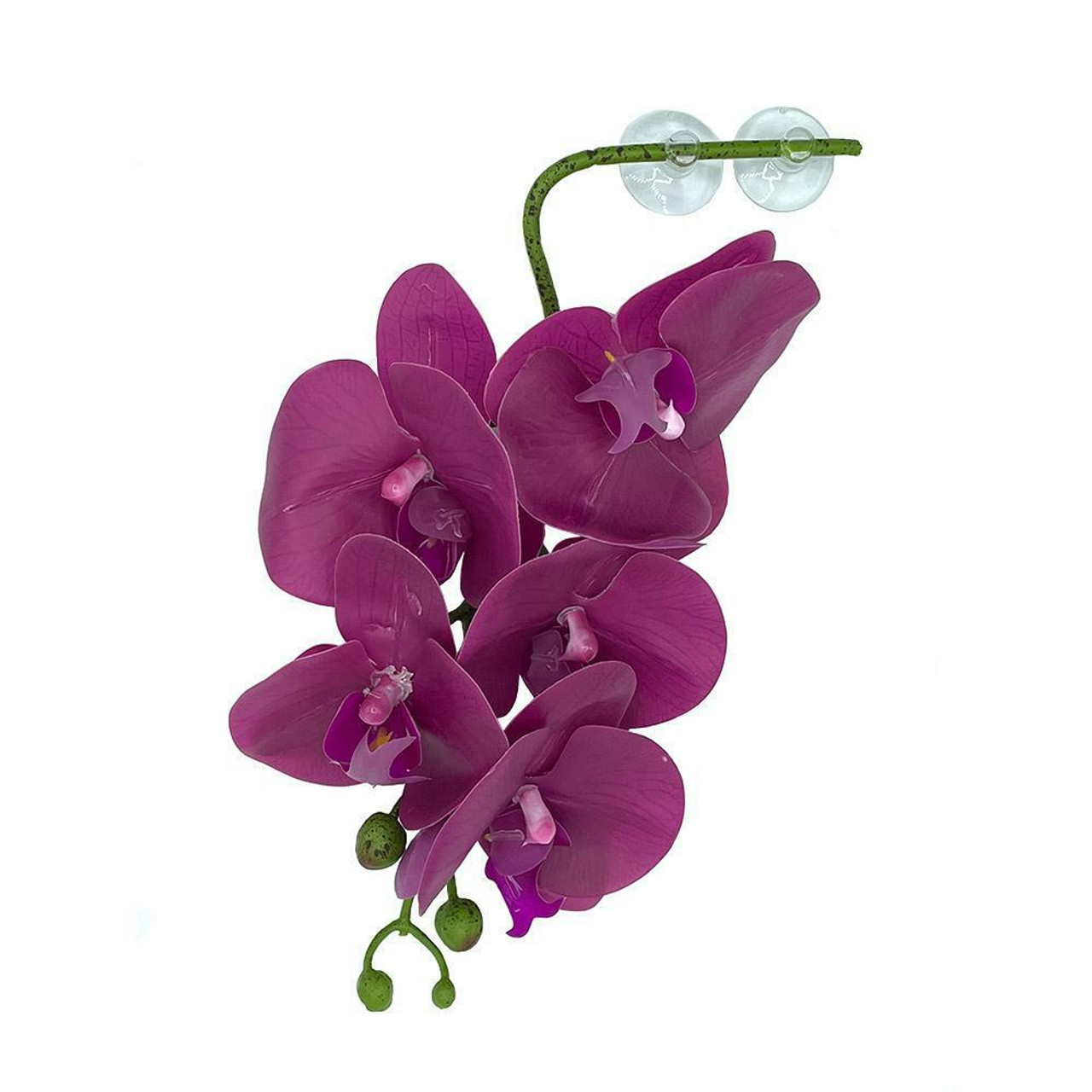 Pangea PANGEA HANGING ORCHIDS - PURPLE