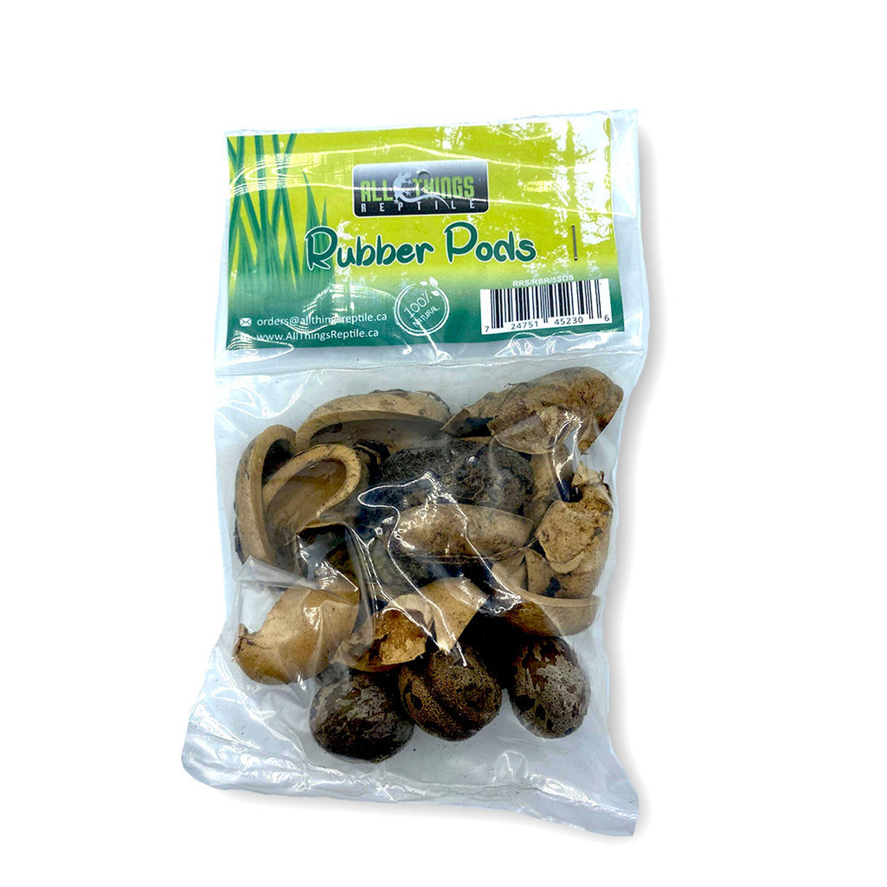 All Things Reptile ATR Dried Rubber Tree Pods 12-Pack