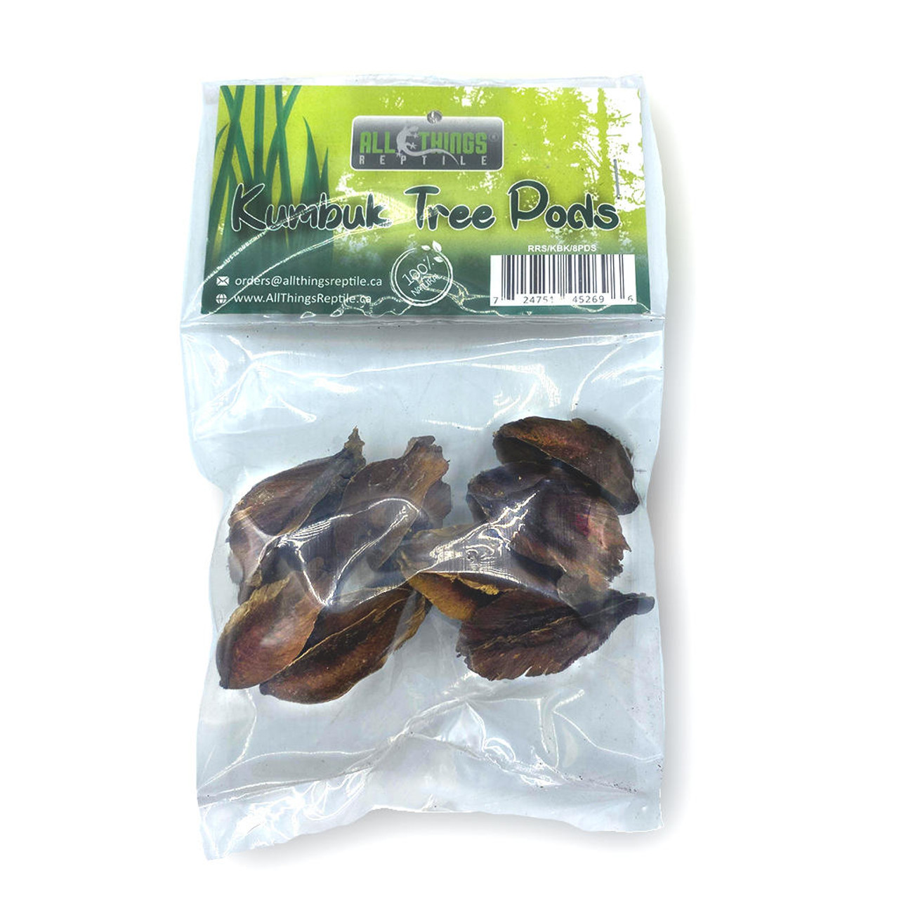 All Things Reptile ATR Dried Kumbuk Arjun Tree Pods 8-Pack