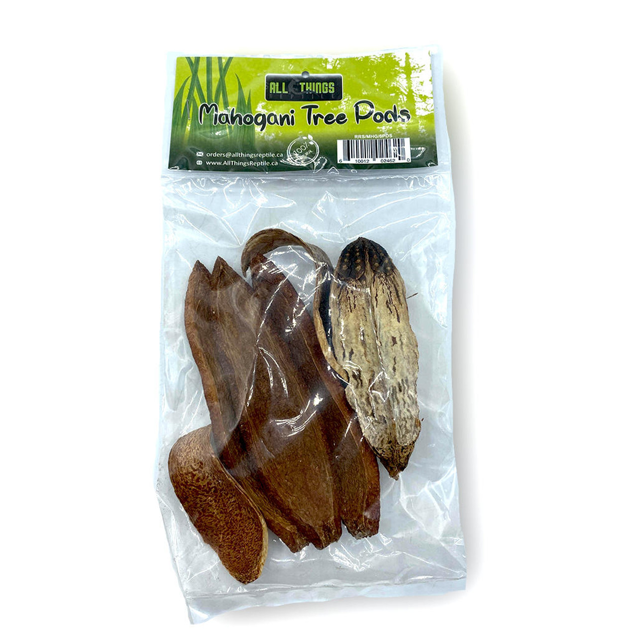 All Things Reptile ATR Dried Mahogani Tree Pods 6-Pack