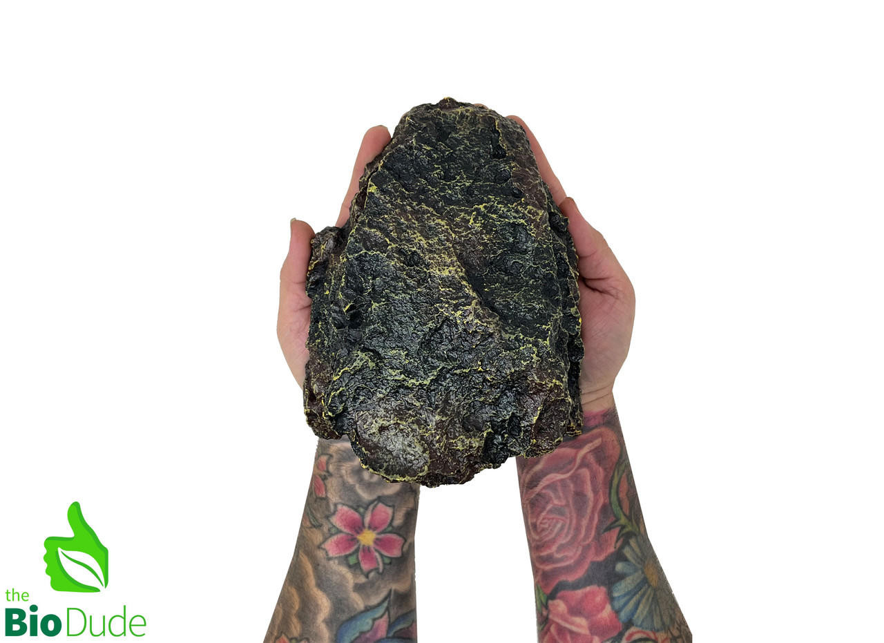 The BioDude The Bio Dude - Rock Hideaway - Medium 