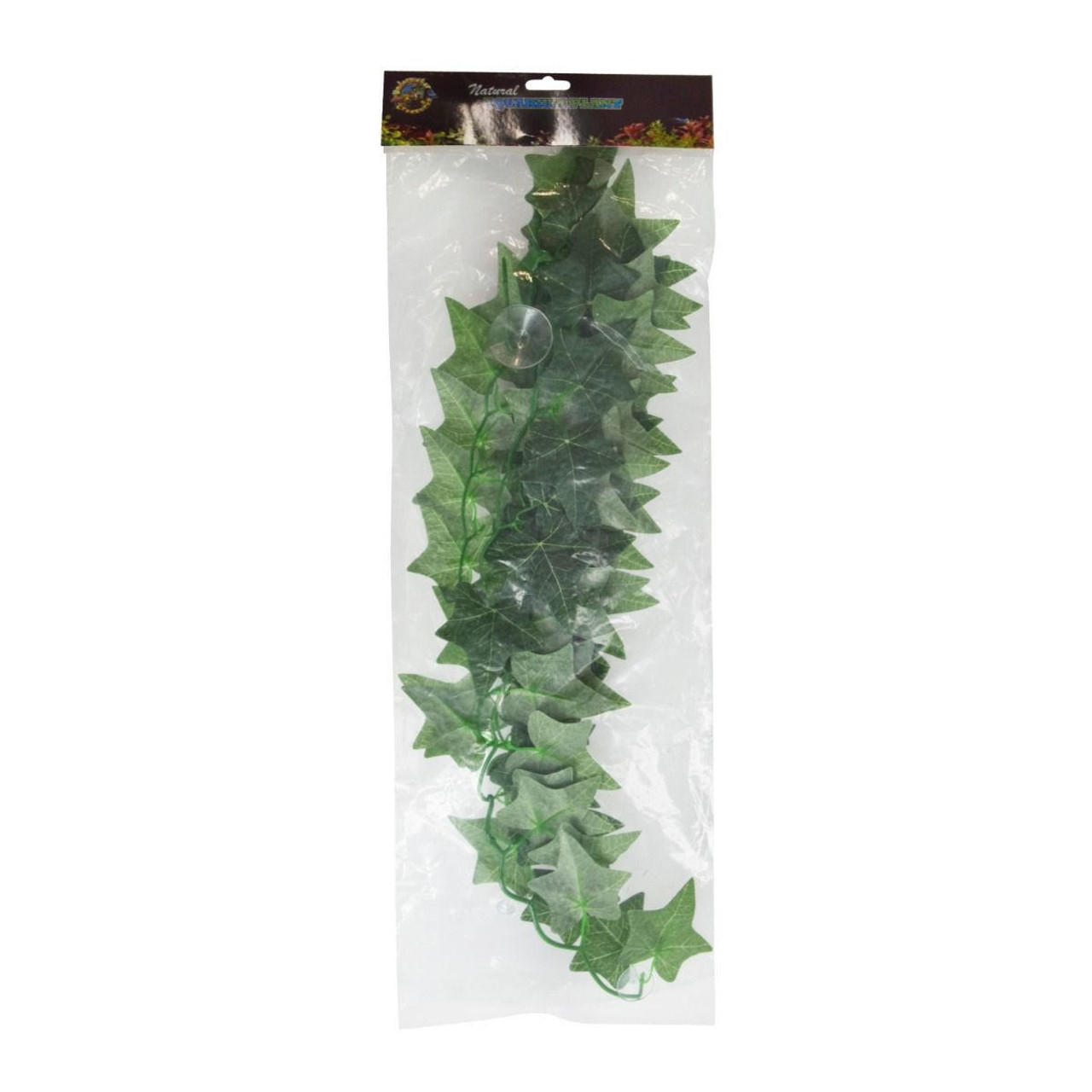  Reptile Treasures Ivy Plant 24in 