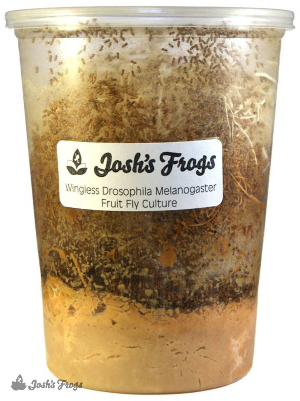 All Things Reptile® Josh's Frogs Melanogaster Fruit Fly Media | 1.5 lbs / 1.35 Quarts (makes 10 fruit fly cultures) 