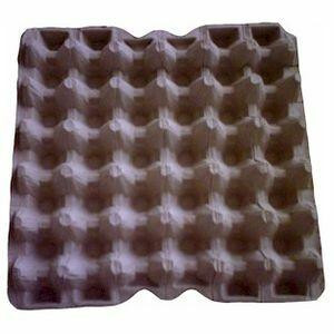 Paper Egg Trays (Recyclable) (12 per Package) ReptilesRuS
