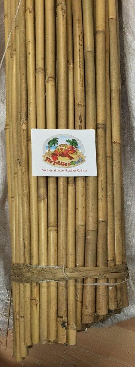 All Things Reptile Bamboo Poles 24 inch length/3/4 Diam Approx 5 Per Bundle