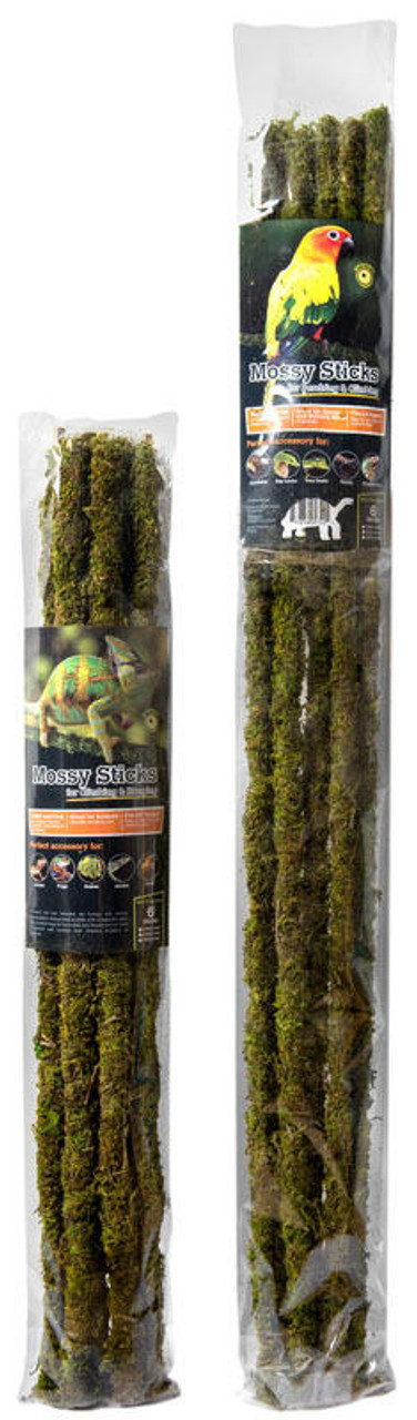 Galapagos Galapagos Mossy Sticks for climbers in all Terrariums 18in