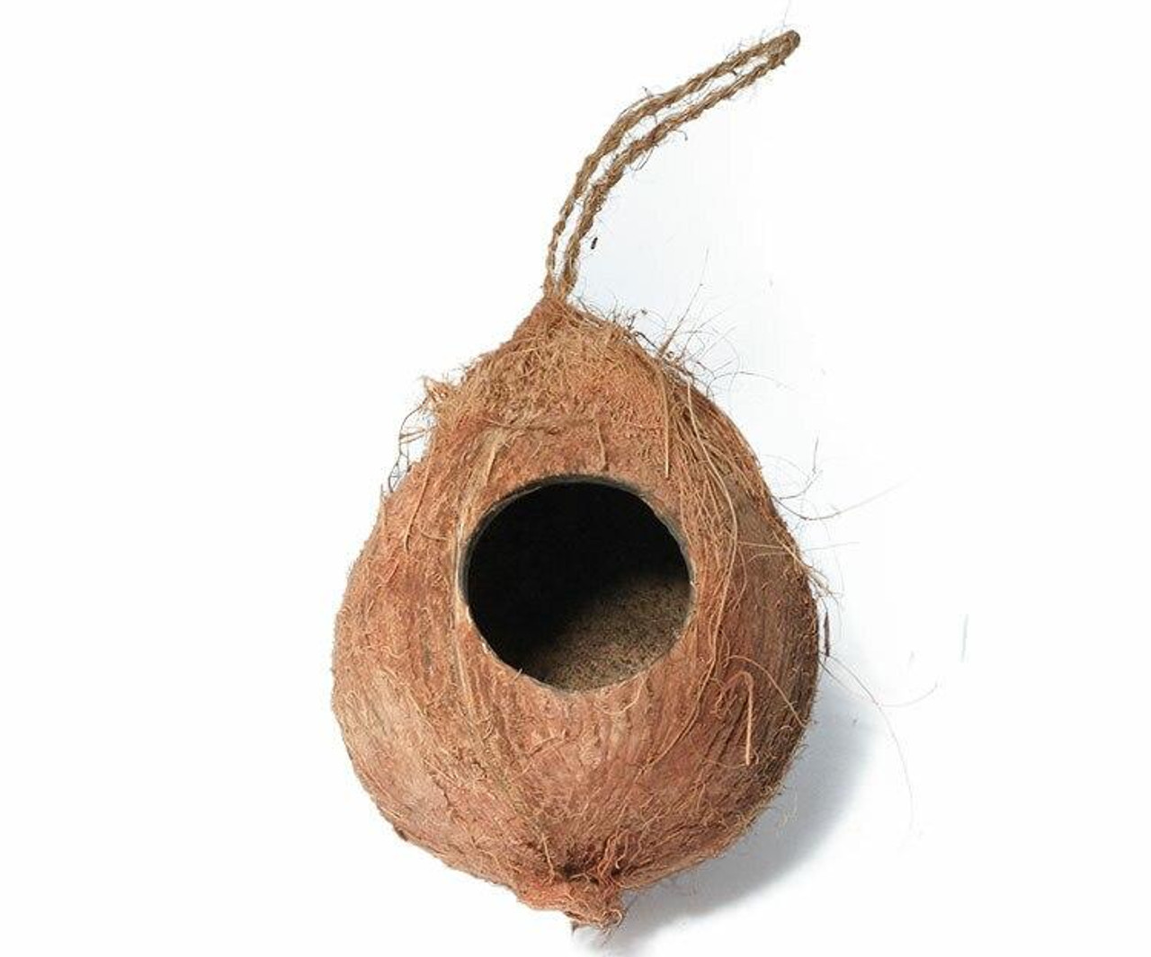 All Things Reptile Hanging Coconut Reptile Hide 1 Hole