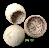 All Things Reptile ATR Bell Cups 3 per Pkg 2-3