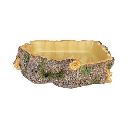 Komodo Tropical Wood with Mounted Fern
