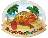 ReptilesRuS®