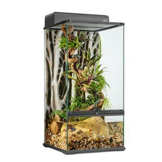 Exo Terra Pro Paludarium Advanced Natural Terrarium - Small-X-Tall 18 ...