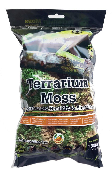 BioDude Live Terrarium Moss - Natural Pillow Moss