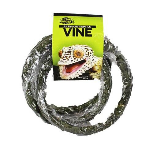 Pangea Pangea Ultimate Vine without Branches - Brown