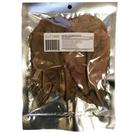 All Things Reptile ATR INDIAN ALMOND LEAVES 7 and BELOW CATAPPA Dried Grade A 10 Pack