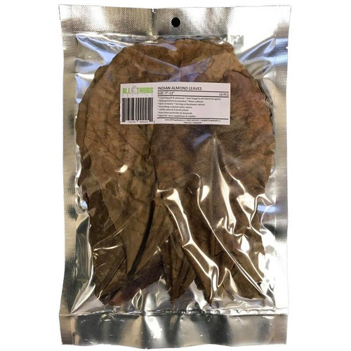 All Things Reptile ATR INDIAN ALMOND LEAVES 7-12 CATAPPA Dried Grade A 10 Pack