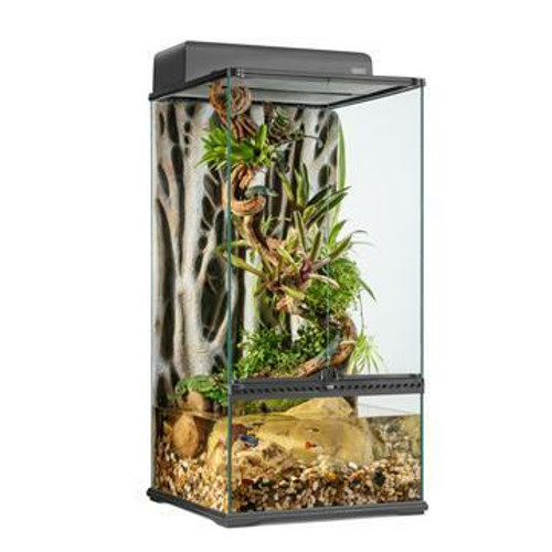 Tall hot sale glass terrarium