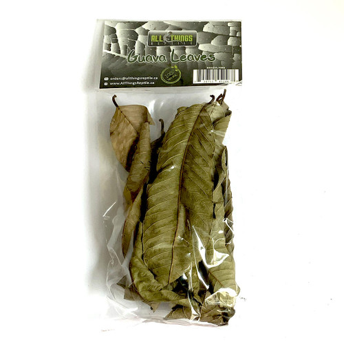 All Things Reptile Guava Mix Size Leaves 10-pack