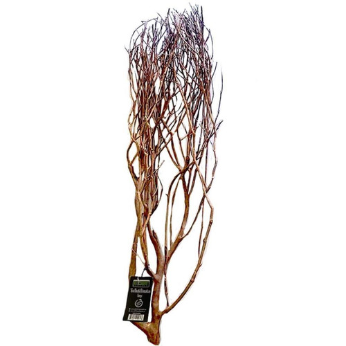 All Things Reptile ATR Natural Tea Tree Bush - Large approx 32