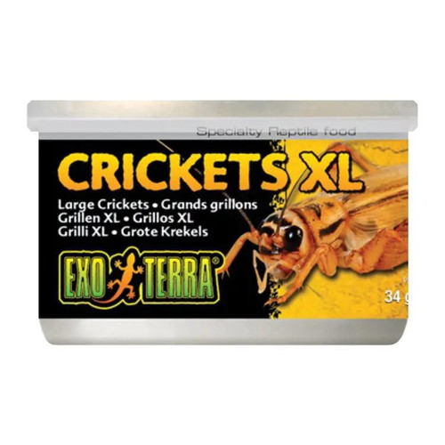  Exo Terra Canned Crickets XL - 34 g (1.2 oz) 