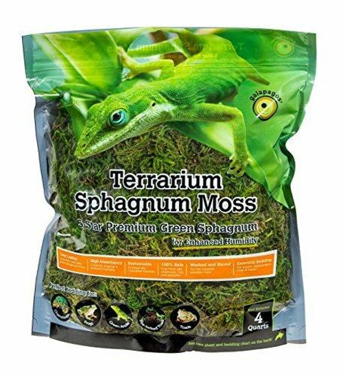 Galapagos Galapagos Terrarium Sphagnum Moss 5-Star Premium Green Sphagnum for Enhanced Humidity 4Qt